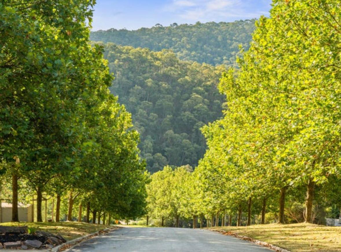 Mt Buller Stayz 머리지그 외부 사진